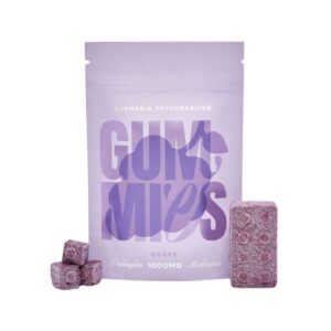 Euphoria Psychedelics – Lego Brick Grape Gummies (1000mg)
