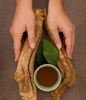 Soul Herbs: Ayahuasca | Ayahuasca