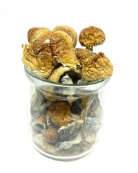 Blue Meanie Magic Mushrooms – Magic Mushroom kit