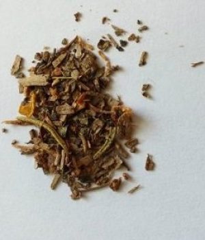 Changa DMT