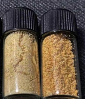 Pure DMT (N,N-Dimethyltryptamine)