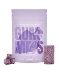 Euphoria Psychedelics – Lego Brick Grape Gummies (1000mg)