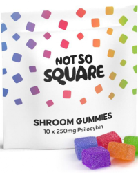 Not So Square – Handcrafted Variety Pack (10 x 250mg Psilocybin Gummies)