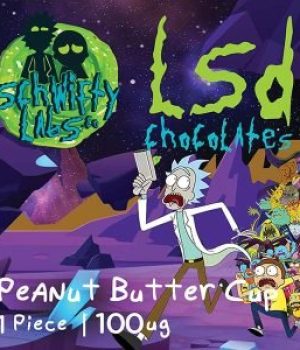 LSD Edible 100ug – Peanut Butter Cup – Schwifty Labs