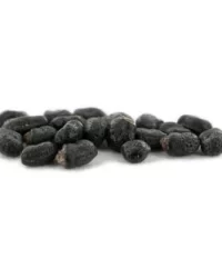 San Pedro Cactus Seeds