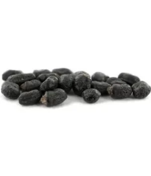 San Pedro Cactus Seeds