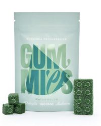 Euphoria Psychedelics – Lego Brick Watermelon Gummies (1000mg)