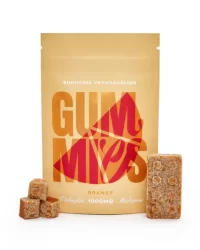 Euphoria Psychedelics – Lego Brick Orange Gummies (1000mg)