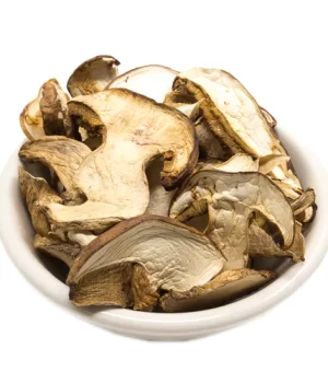 Porcini Mushrooms – Dried porcini mushrooms in UK